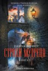читать Страхи мудреца. Книга 2