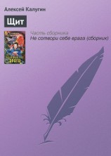 читать Щит