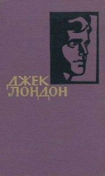 читать Собрание сочинений в 14 томах. Том 4