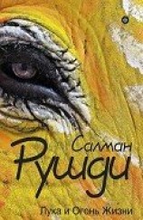 читать Лука и огонь жизни