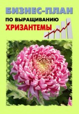читать Бизнес-план по выращиванию хризантемы