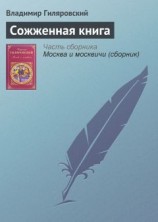 читать Сожженная книга