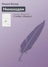 читать Мимоходом