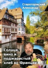 читать Солнце, вино и поджаристый хлеб во Франции