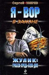 читать Жулик: грабеж средь бела дня