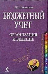 читать Бюджетный учет. Организация и ведение