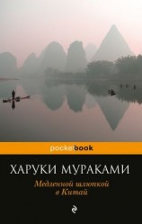 читать Медленной шлюпкой в Китай (сборник)