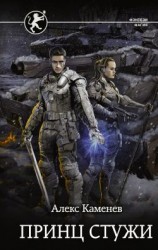 читать Принц стужи [Ярость Стихий]