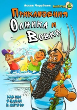 читать Приключения Олжика и Вовки. Как мы ездили в лагерь
