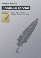 читать Бродячий делегат