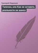 читать Тапочки, или Как не оставить реальности ни шанса