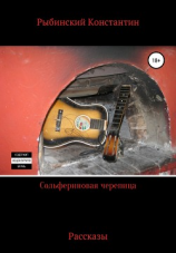 читать Сольфериновая черепица. Рассказы