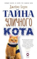 читать Тайна уличного кота