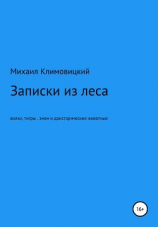 читать Записки из леса