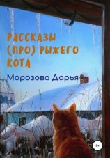 читать Рассказы (про) рыжего кота