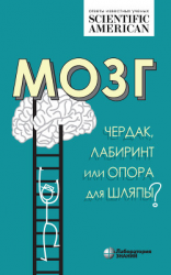 читать Мозг: чердак, лабиринт или опора для шляпы?