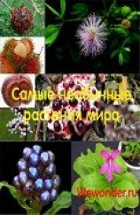 читать Удивительное рядом: самые необычные растения мира