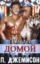 читать Мчась домой