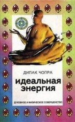читать Идеальная энергия