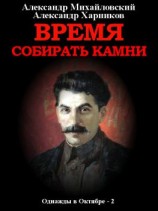 читать Время собирать камни. Том 2