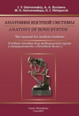 читать Anatomy of bone system. The manual for medical students / Анатомия костной системы. Учебное пособие для медицинских вузов