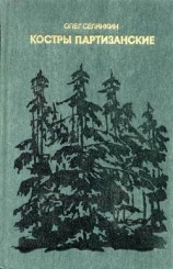 читать Костры партизанские. Книга 1