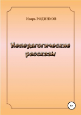 читать Непедагогические рассказы