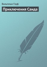 читать Приключения Саида