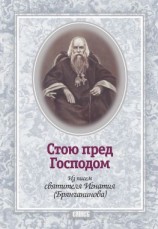 читать Стою пред Господом. Из писем святителя Игнатия (Брянчанинова)