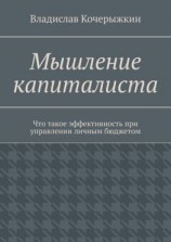 читать Мышление капиталиста. Что такое эффективность при управлении личным бюджетом