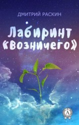 читать Лабиринт «Возничего»