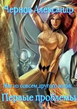 читать Маг из совсем другого мира: Первые проблемы