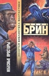 читать Небесные просторы
