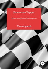 читать Жизнь на предельной скорости. Том первый