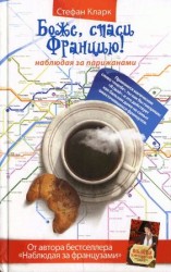 читать Боже, спаси Францию! Наблюдая за парижанами