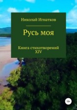 читать Русь моя. Книга XIV