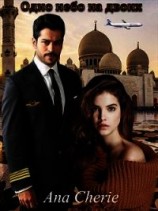 читать Одно небо на двоих