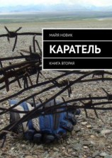 читать Каратель. Книга вторая