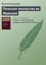 читать Польское посольство во Францию