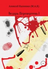 читать Ведарь Перевертень. Книга 1