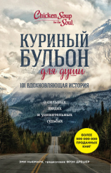 читать Куриный бульон для души. 101 вдохновляющая история о сильных людях и удивительных судьбах