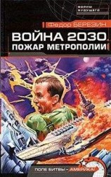 читать Война 2030. Пожар Метрополии