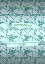 читать Пылесборник. Простые слова о сложном Главном #DshSth