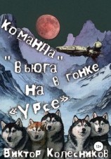 читать Команда «Вьюга» в гонке на «Урсе»