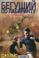 читать Испытание огнем