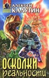 читать Осколки реальности