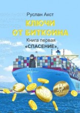 читать Ключи от Биткоина. Книга первая. Спасение
