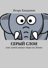 читать Серый слон. Или зачем живут люди на Земле