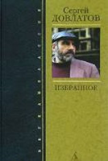 читать Зона (Записки надзирателя)