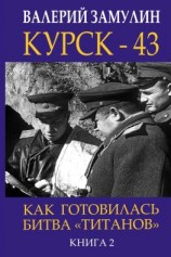 читать Курск-43. Как готовилась битва «титанов». Книга 2